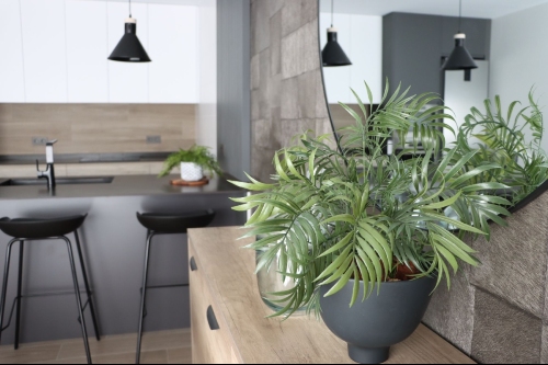 Imagen de la propiedad 12